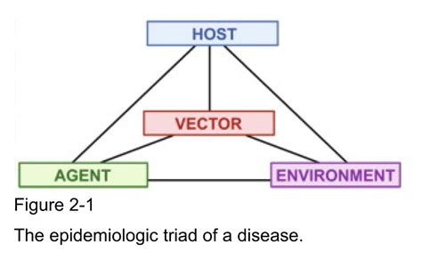 Pin on Epidemiology