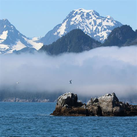 5 Amazing Ways to See Kenai Fjords National Park - Park Chasers