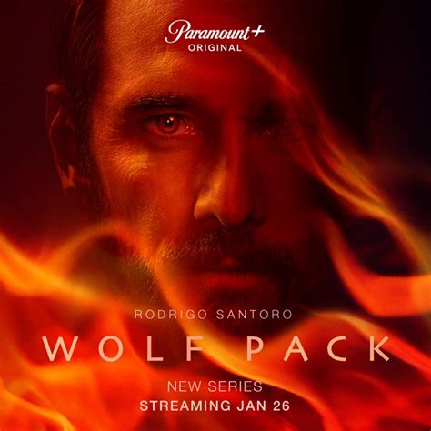 Wolf Pack (TV Show) | Wolf Pack TV Show Wiki | Fandom