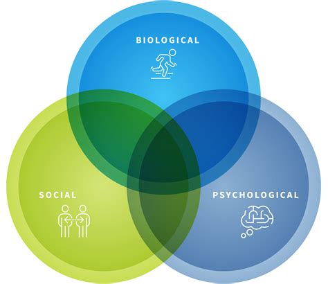 How the Biopsychosocial Approach Can Benefit Your Athletes