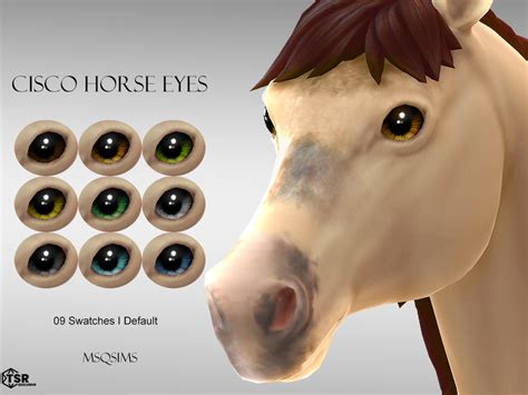 The Sims Resource - Cisco Horse Eyes | Sims 4 pets, Sims 4 pets mod ...