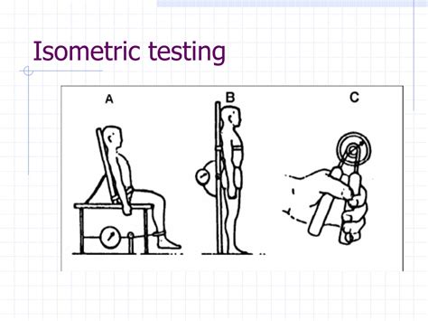 PPT - Muscle Testing and its clinical implications PowerPoint ...