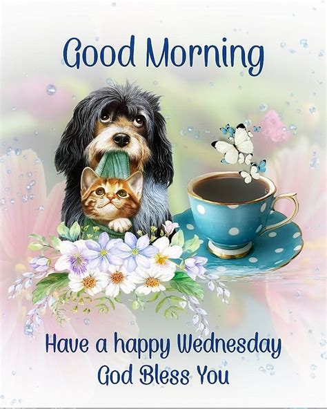 Dog And Cat Happy Wednesday wednesday wednesday quotes happy wednesday ...