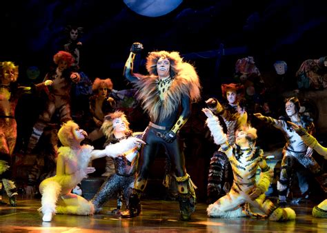 Cats the Musical review: A campy theatrical spectacle | Honeycombers