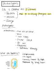 Understanding Prokaryotes: Classification, Characteristics, and | Course Hero