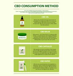 Cannabinoid benefits horizontal infographic Vector Image