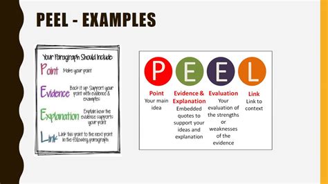 Mastering the Art of Peel Paragraphs: Tips and Tricks