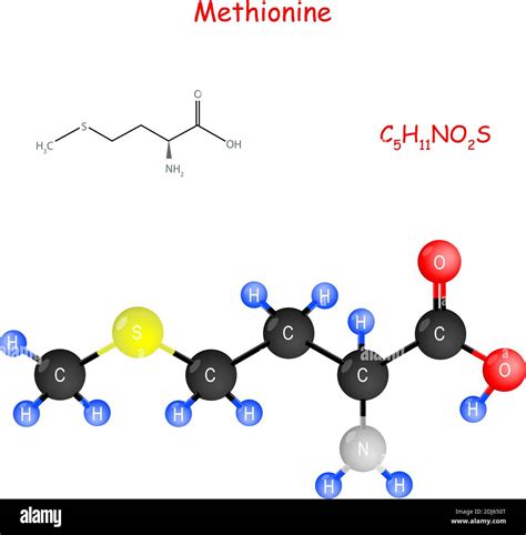 Methionine Amino Acid Structure