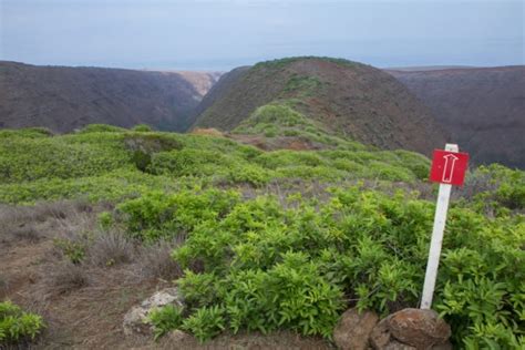 Hiking on Lanai Hawaii