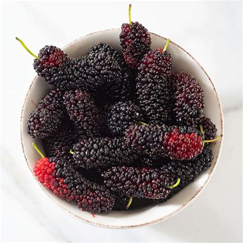 Nutrition Benefits and Cooking With Mulberries in 2020 | Homemade ...