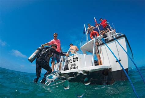 Diving with Great Hammerhead Sharks in Bimini | Scuba Diving