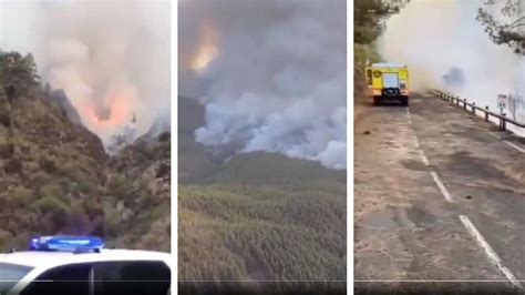 Forest fires in Tenerife: "Fire is out of control" – more villages evacuated - The Limited Times