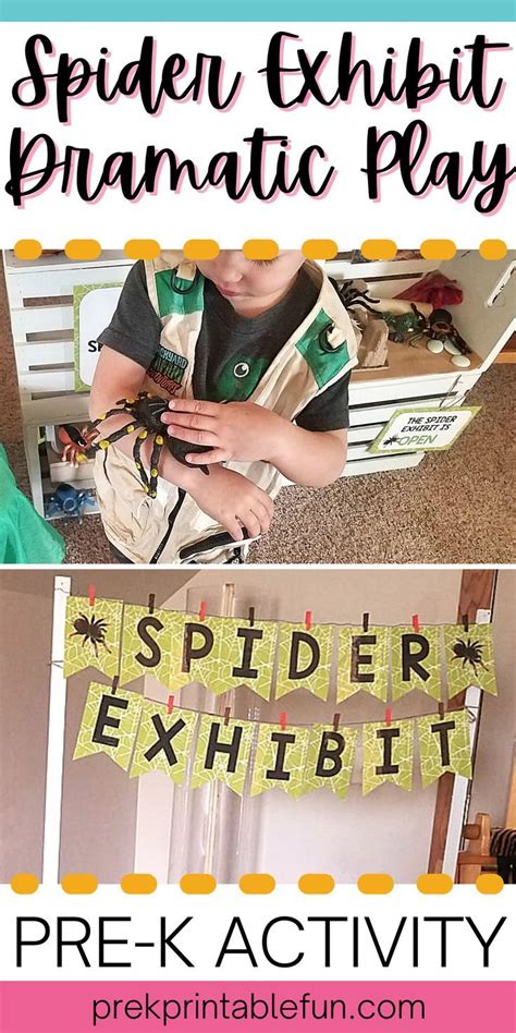 Spider Exhibit Mini Dramatic Play Set | Dramatic play, Dramatic play preschool, Dramatic play ...