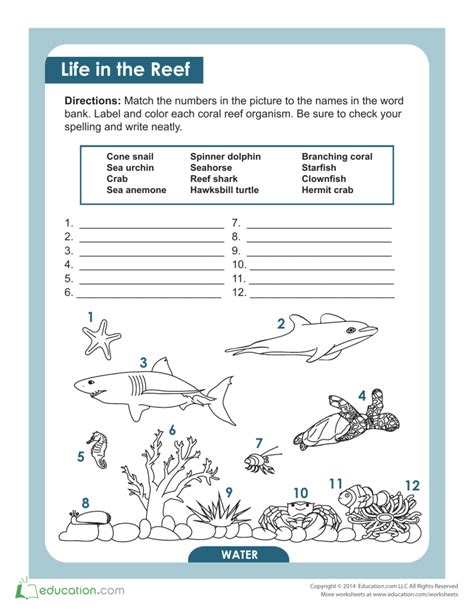 coral-reef-animals-and-plants matching worksheet