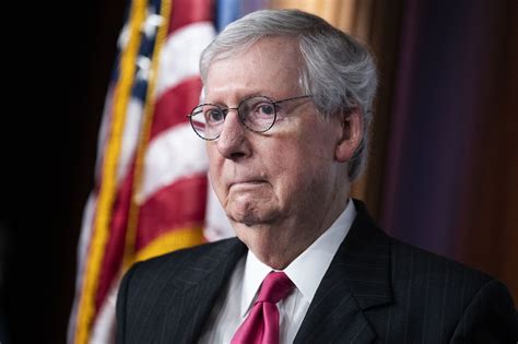 Trump says Mitch McConnell 'blew' midterms in rant