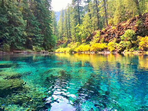 McKenzie River Trail Map - McKenzie River Trail