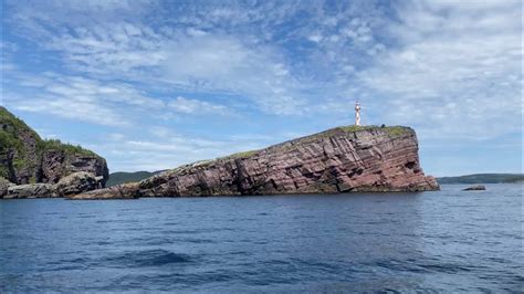 Out sailing on a boat cod fishing at Trinity Bay Newfoundland Canada 🇨🇦 - YouTube