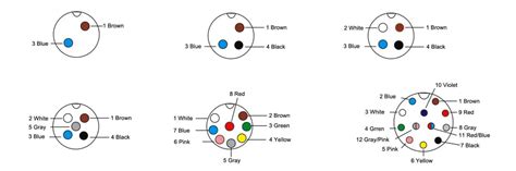 ️M12 Connector Wiring Diagram Free Download| Gmbar.co