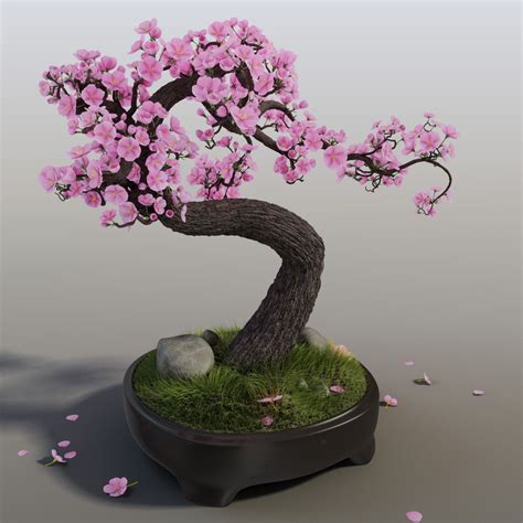 max sakura bonsai tree | Bonsai tree, Pink flowering trees, Flowering cherry tree