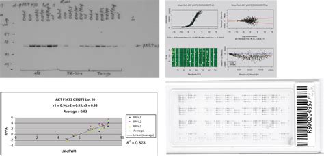 Molecular diagnostics in cancer | Oncohema Key