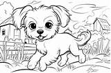 Dog Coloring Book Stock Photos Images And Backgrounds For Free Download sketch template