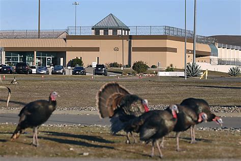 Here Is the Prison Where Elizabeth Holmes Might Want to Be