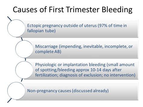 What Causes Bleeding In First Trimester Of Pregnancy - PregnancyWalls