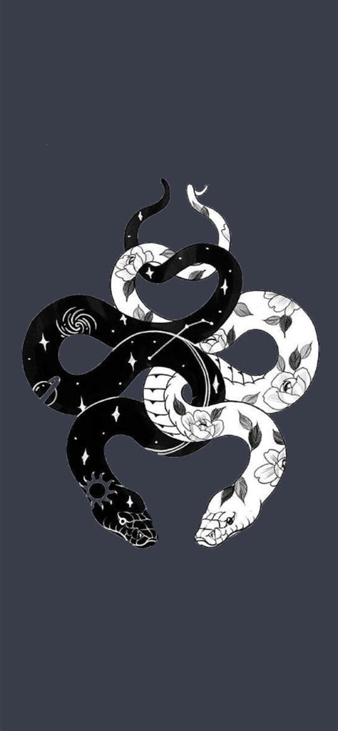 Best Snake iPhone HD Wallpapers - iLikeWallpaper