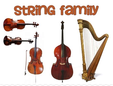 Family String Instruments Musical Instruments Orchestra Violin, PNG ...