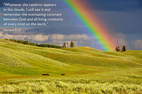 Rainbow In Bible (2023)