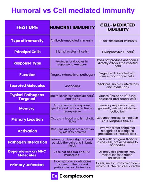 Humoral vs Cell mediated Immunity - Differences Explained