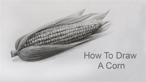 How To Draw A Corn Field