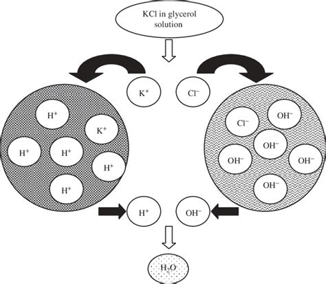 Schematic representation of ion exchange columns that shows sodium and... | Download Scientific ...