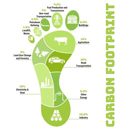 Carbon Footprint Infographic Co2 Ecological Footprint Scheme Greenhouse Gas Emission By Sector ...