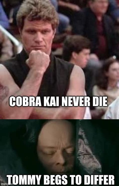 50+ Coolest Cobra Kai Memes - Funny Memes