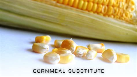 5 Best Cornmeal Substitutes for Cooking (Updated 2024)