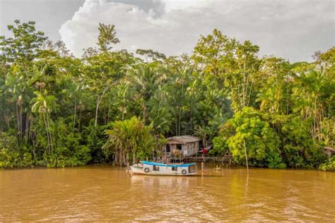 Manaus: 2, 3 or 4-Day Amazon Jungle Tour in Anaconda Lodge | GetYourGuide