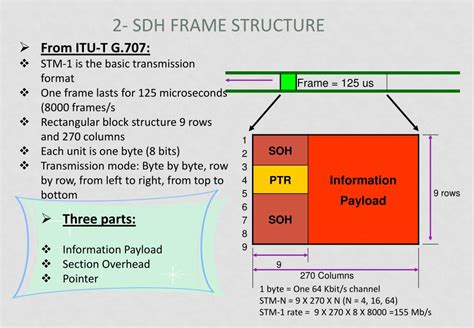 What Is Sdh Frame Structure - Infoupdate.org