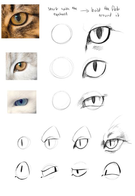 12 easy tutorials how to draw a cat - How To Draw Tutorials