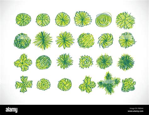 Trees top view for architecture landscape design projects Stock Vector ...