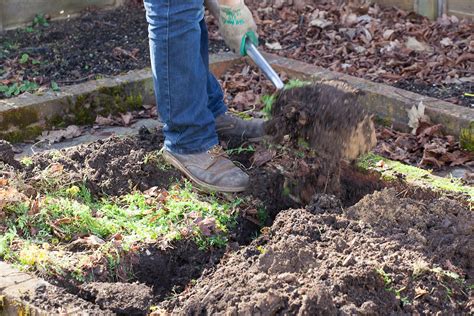 Understanding Green Manure - Great Gardens UK