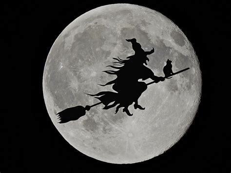 Download Moon, Witch, Black Cats. Royalty-Free Stock Illustration Image | Silvester sprüche ...