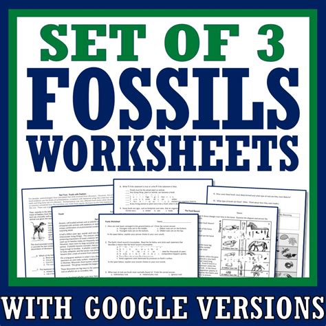 Fossils Worksheet 3rd Grade