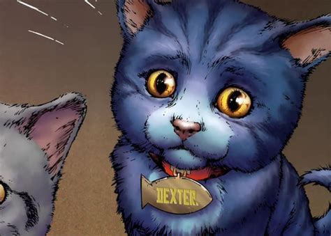 Meet DC’s goodest kitty, Dex-Starr the Red Lantern cat