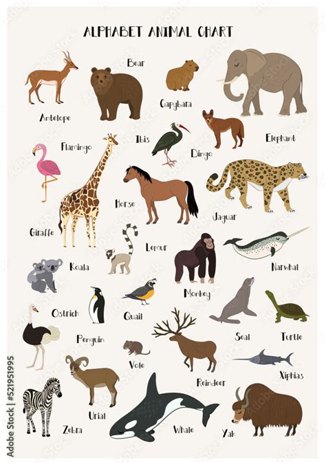 Vecteur Stock Alphabet animal chart set isolated vector illustration. ABC for kids education in ...