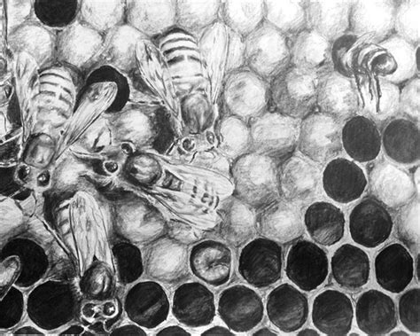 Items similar to Honey Bee Hive 8x10 Inch Art Print - From Original ...