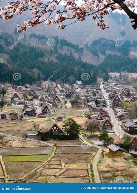 Shirakawa-go, Cherry Blossom, Green Forest Stock Image - Image of landmark, view: 77703503