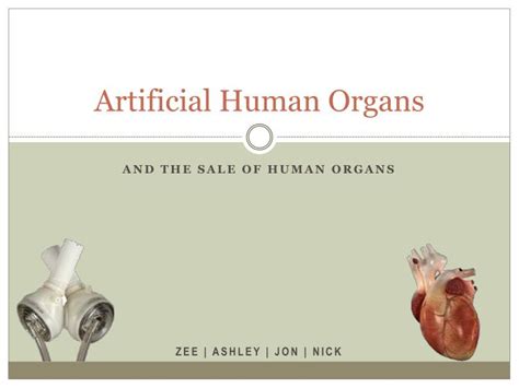 PPT - Artificial Human Organs PowerPoint Presentation, free download ...