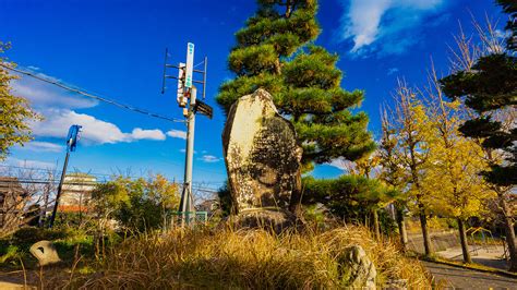 长岛城 | 观光亮点 | 深入浅出地讲解历史 | 附有城堡照片的日本旅行武士