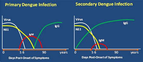 Figure 1 from An introduction to dengue-disease diagnostics | Semantic Scholar